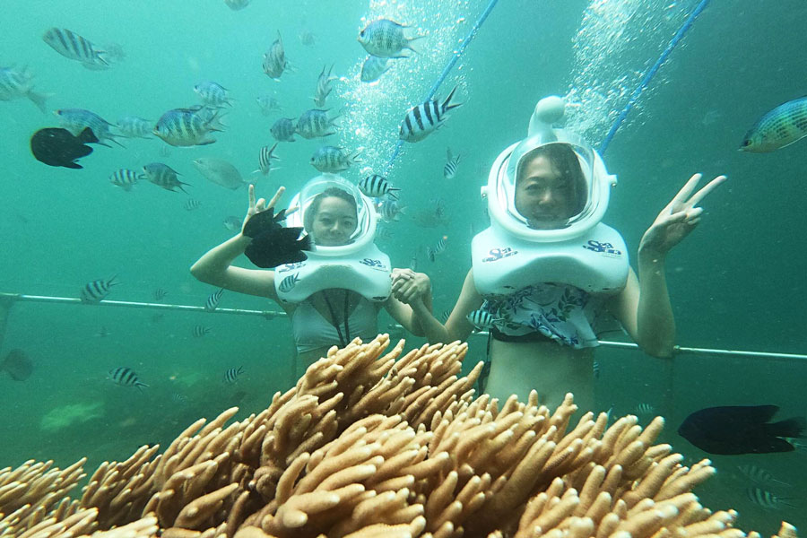 Tour Cù Lao Chàm – Đi Bộ Dưới Biển - Image 5