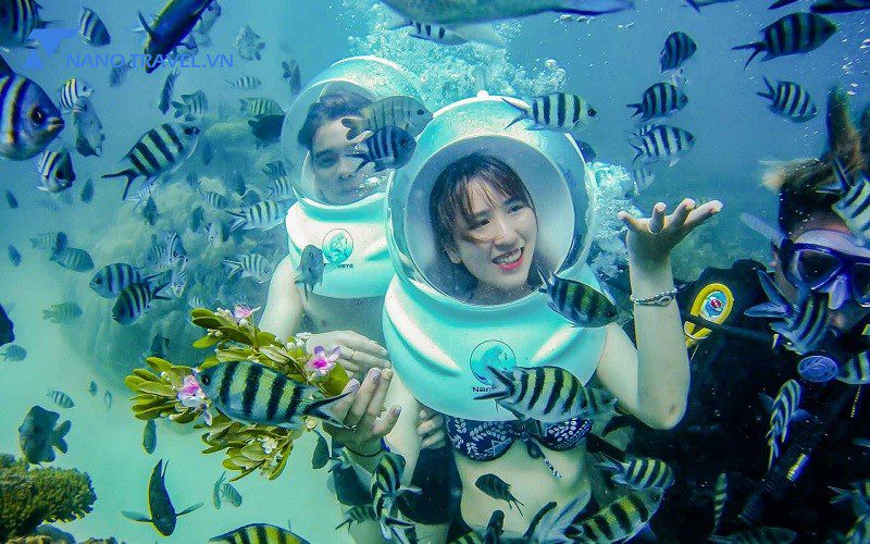 Tour Cù Lao Chàm – Đi Bộ Dưới Biển - Image 7