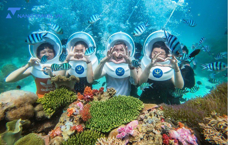 Tour Cù Lao Chàm – Đi Bộ Dưới Biển - Image 4