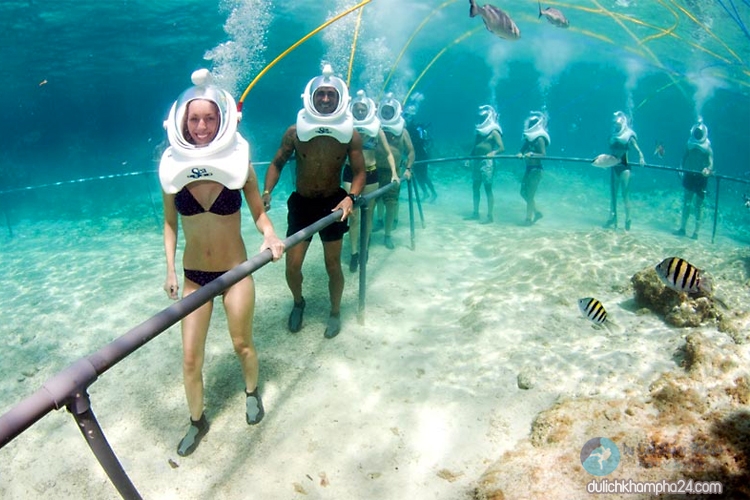 Tour Cù Lao Chàm – Đi Bộ Dưới Biển